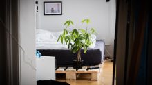 Les mini frigos avec congélateur intégré
